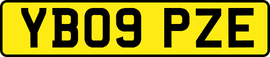 YB09PZE