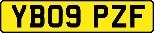 YB09PZF