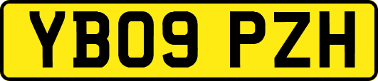 YB09PZH