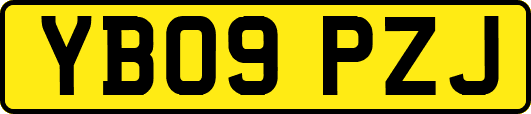 YB09PZJ