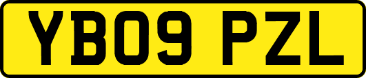 YB09PZL