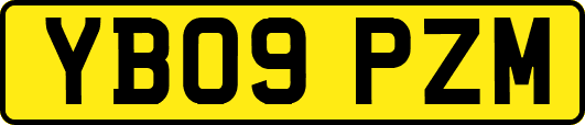 YB09PZM