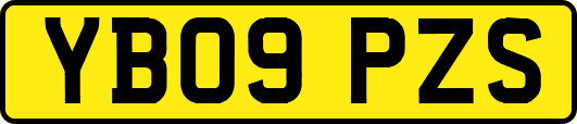 YB09PZS