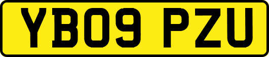 YB09PZU