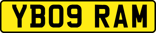 YB09RAM