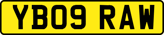 YB09RAW