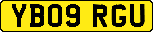 YB09RGU