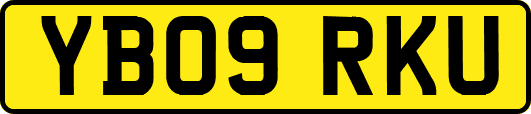 YB09RKU