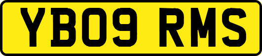 YB09RMS