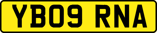 YB09RNA