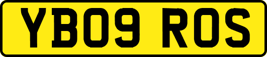 YB09ROS