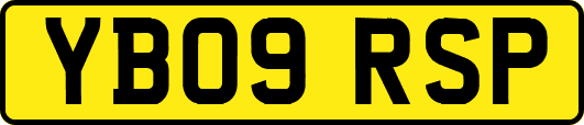 YB09RSP