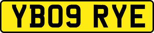 YB09RYE