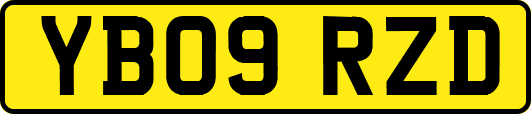 YB09RZD