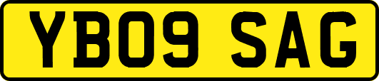 YB09SAG