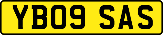YB09SAS