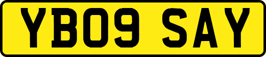 YB09SAY