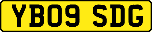 YB09SDG