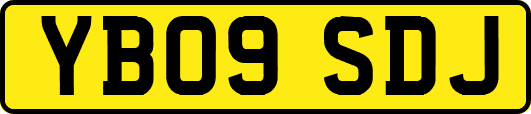 YB09SDJ