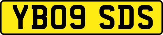 YB09SDS