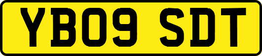YB09SDT