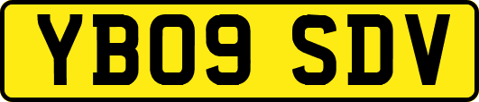 YB09SDV