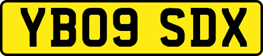 YB09SDX