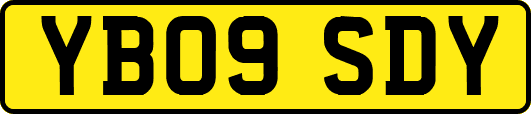 YB09SDY
