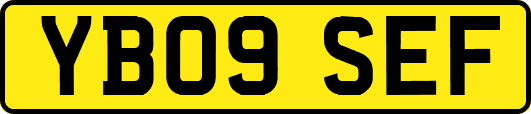 YB09SEF