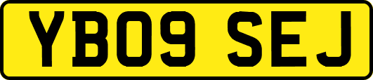 YB09SEJ