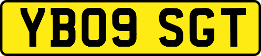 YB09SGT
