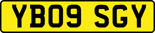 YB09SGY