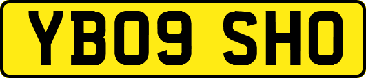 YB09SHO