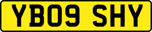 YB09SHY