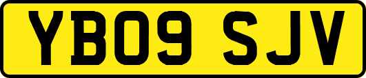 YB09SJV