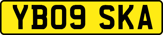 YB09SKA