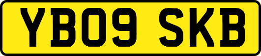 YB09SKB