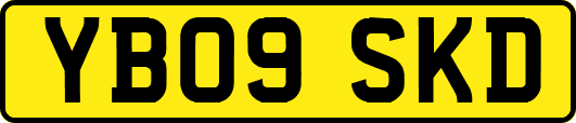 YB09SKD