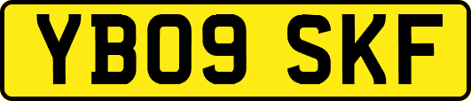 YB09SKF