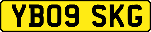 YB09SKG