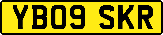 YB09SKR