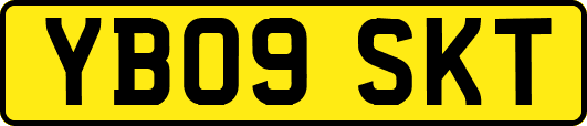 YB09SKT