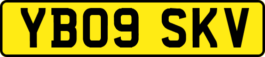 YB09SKV