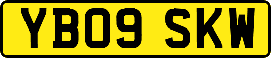 YB09SKW