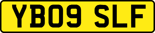 YB09SLF