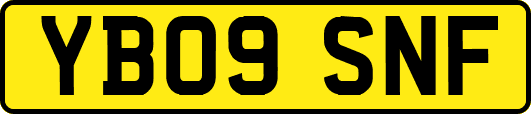 YB09SNF