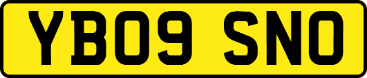 YB09SNO
