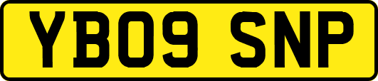 YB09SNP
