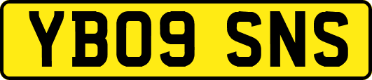 YB09SNS