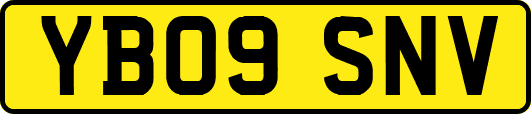 YB09SNV